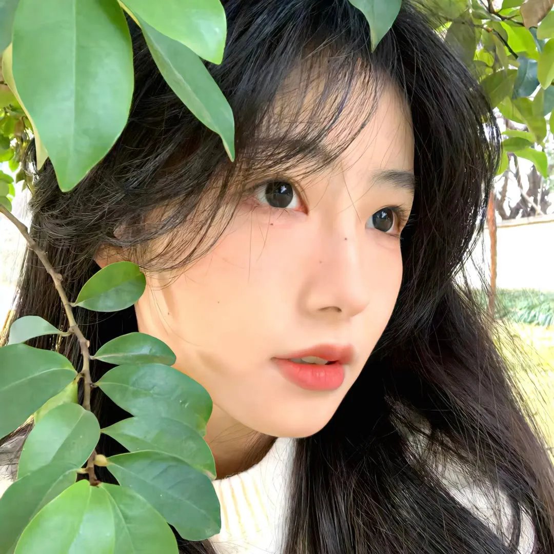 我的秘密之花